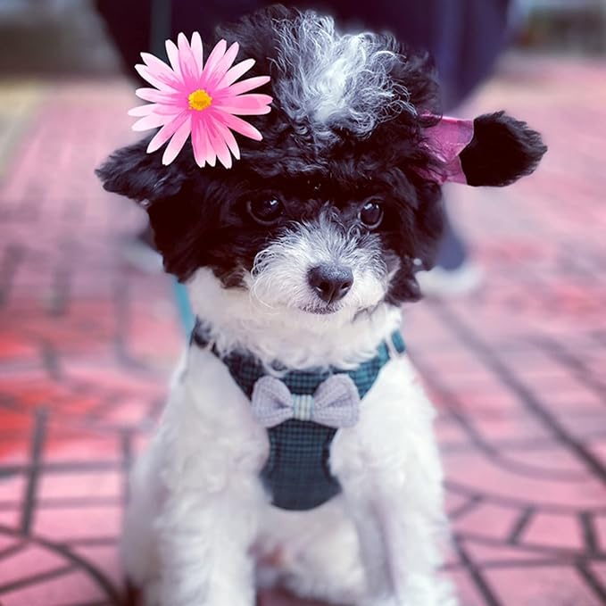 Puppytie No Pull Dog Harness with Multifunction Dog Leash,Soft Adjustable No Choke Escape Proof Pet Harness Vest for Medium Dogs,Knitted Green,M