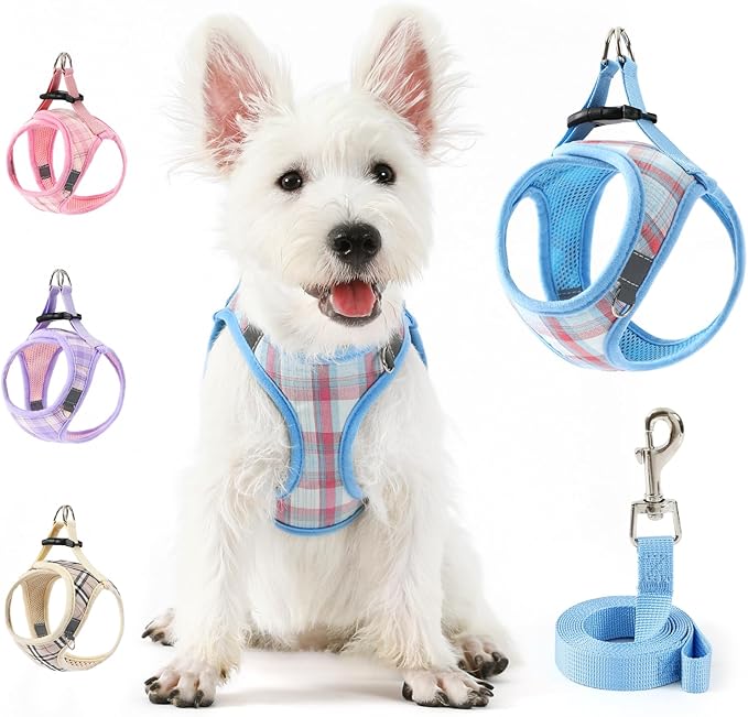 voopet Small Dog Harness and Leash Lightweight Cat Comfort Padded Soft Mesh Vest Step in Dog Harness No Pull No Choke Reflective Small Plaid Girl & Boy Puppy Kitty Walking Harness, Blue S