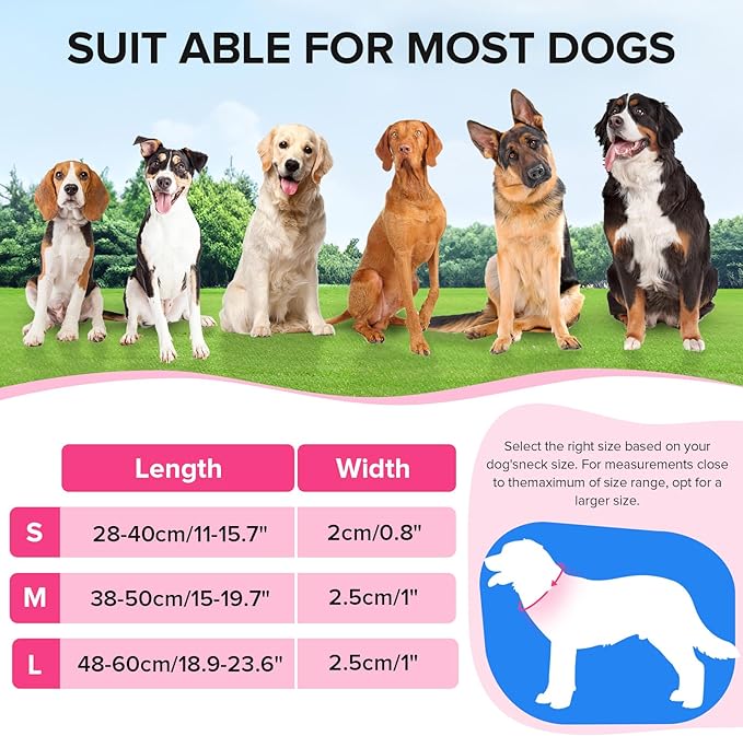 Led Dog Collar for Night Walking,Rechargeable Light Up Dog Collar Led Color,Glow in The Dark Dog Collars Waterproof for Small Medium Large Dogs (Pink, Medium)