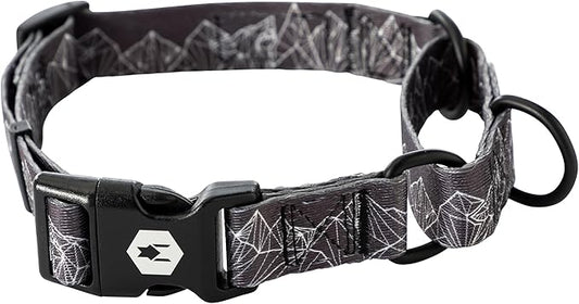 Wolfgang Heavy Duty Martingale Dog Collar with Quick Release Nylon Buckle for Walking & Training, WolfMountain Print, Small
