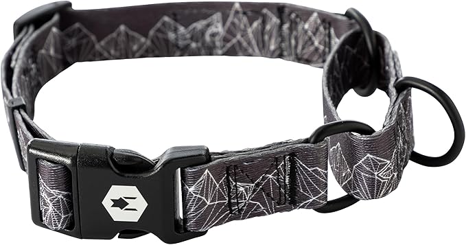 Wolfgang Heavy Duty Martingale Dog Collar with Quick Release Nylon Buckle for Walking & Training, WolfMountain Print, Large