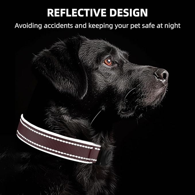 Airtag Dog Collar - 100% Waterproof Air tag Dog Collar Holder for Apple AirTag, Reflective, Soft Padded, Everlasting, GPS Dog Collar for Small Medium Large Dogs (Pink, M)