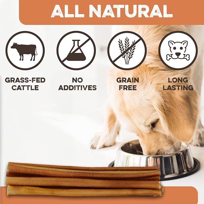 BRUTUS & BARNABY Thick Bully Sticks for Dogs – Odor Free Chews for Large, Medium & Small Breeds – Grain-Free, Rawhide-Free, Digestible Dog Treats – Grass-Fed Beef Chews for Aggressive Chewers