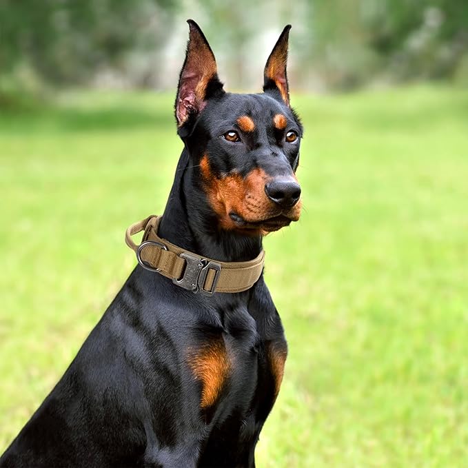 Tactical Dog Collar Set, Adjustable Military Training Nylon Dog Collar with Control Handle and Heavy Quick-Release Metal Buckle for Small Medium Large Dogs, Brown Set L