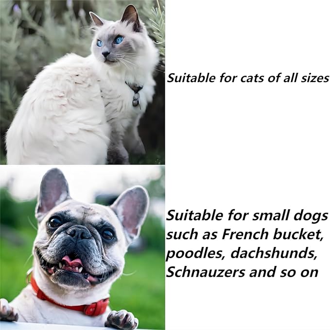 Cat Costume,Unicorn Handmade Knitted Dog Costume,Rainbow Dog Outfit,Cat Birthday Clothes(Rainbow2)