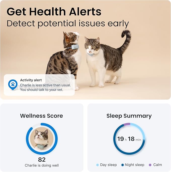 Tractive GPS Cat Tracker (6.5 lbs+), Real-time Pet Location Tracker, Health & Wellness Alerts, Battery Life Up to 7 Days, Breakaway Cat Collar Included (Mint)