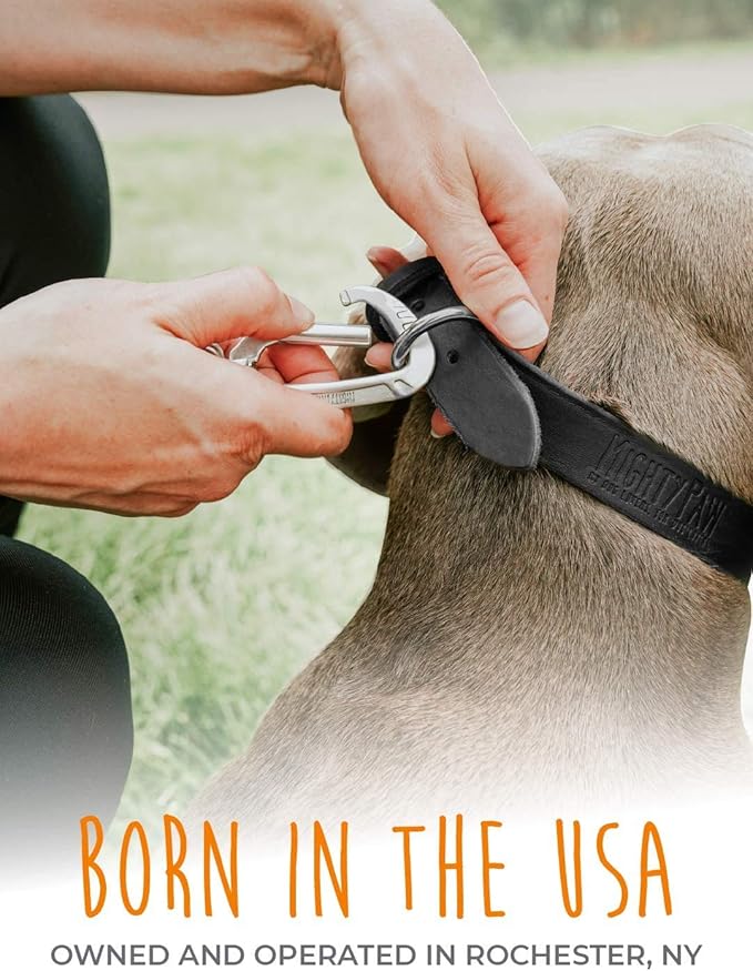 Mighty Paw Leather Dog Collar - Genuine Distressed Leather - Strong Metal Buckle - Ultimate Comfort - Modern Style for All Dogs Breeds - Comfort Puppy Collar - (Medium - Black)
