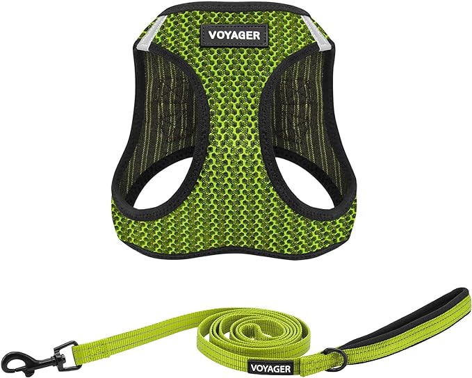 Voyager Step-in Air All Weather Mesh Harness and Reflective Dog 5 ft Leash Combo with Neoprene Handle, for Small, Medium and Large Breed Puppies by Best Pet Supplies - Lime Green (Leash Bundle), L
