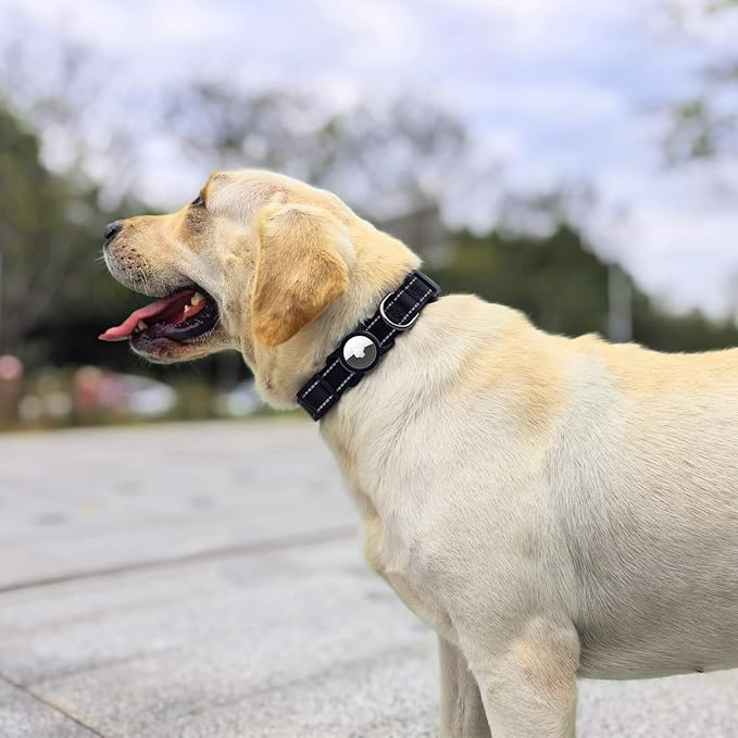 Dog Collar with QR Code, Reflective Dog Collar, Soft Neoprene Padded & Safety Locking Buckle Adjustable Pet Collar (Black, XS-with Airtag Holder)