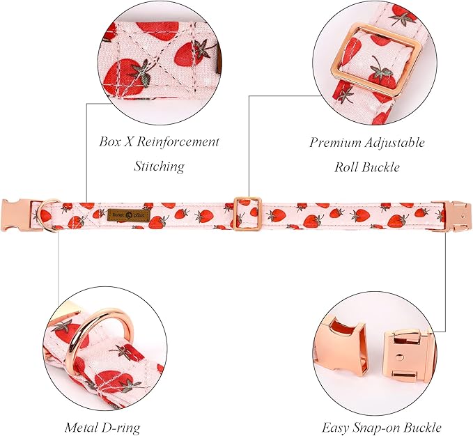 Lionet Paws Dog Collar, Comfortable Adjustable Cute Collar with Metal Buckle for Male Female Puppies and Cats, Strawberry Pattern, XS, Neck 8-12 inches