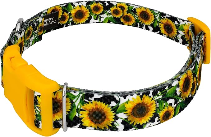 Country Brook Petz - Deluxe Dairy Fields Dog Collar - Made in The U.S.A. - Country and Western Collection Featuring Rustic Designs (1 Inch, Large)