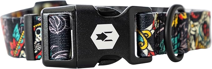 Wolfgang Heavy Duty, Adjustable Dog Collar with Quick Release Nylon Buckle for Walking & Training, LosMuertos Print, Large