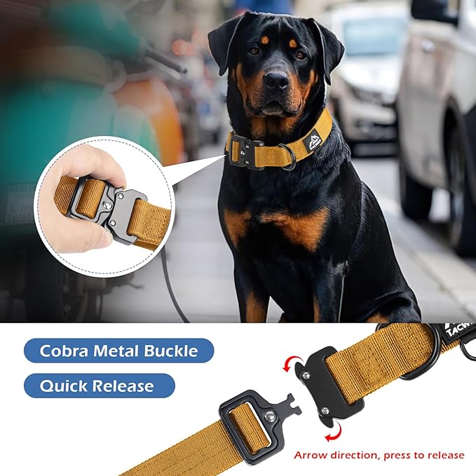 Heavy Duty Dog Collars for Medium and Large Dogs - Adjustable, Chew Proof Nylon Collar with Metal Quick Release Buckle and D-Ring for Dog Tags (Turmeric Yellow, S)