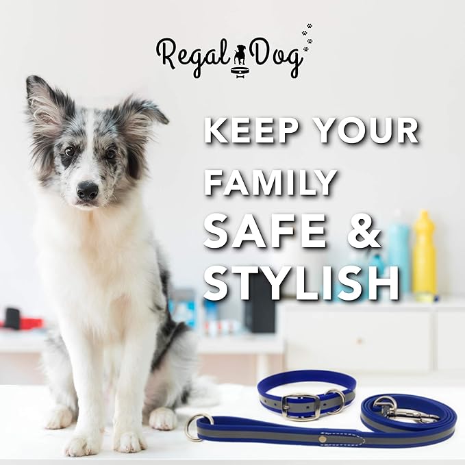 Regal Dog Products Heavy Duty Reflective Dog Collar – Adjustable with Metal Buckle and D Ring, Chew Resistant, Waterproof Dog Collar for Small Medium and Large Dogs (Medium Collar and Leash, Blue)