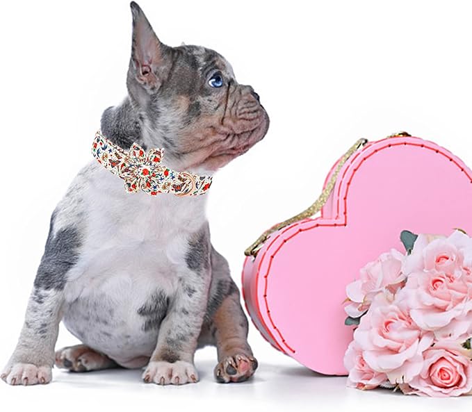 Elegant little tail Dog Collar, Girl or Boy Dog Collar Flower Pet Collar with Flower Customize Collar for Dog Adjustable Dog Collar for X-Large Dogs