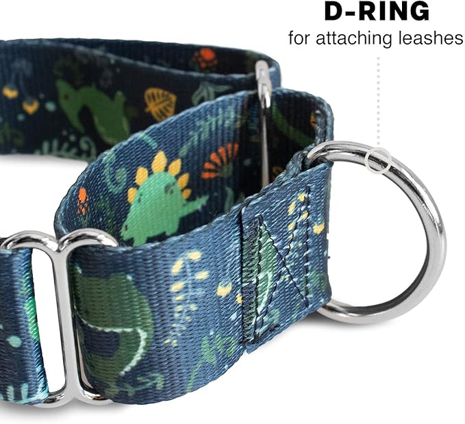Downtown Pet Supply - Martingale Collar for Dogs - Dog Training Collar - Big, Wide & Thick Dog Collar - Escape-Proof, Weatherproof, Durable and Comfortable - Dino - Small Dog Collar