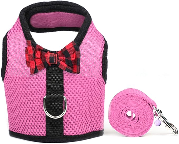 Rypet Guinea Pig Harness and Leash - Soft Mesh Small Animal Harness with Safe Bell, No Pull Comfort Padded Vest for Guinea Pigs, Ferret, Chinchilla and Similar Small Animals