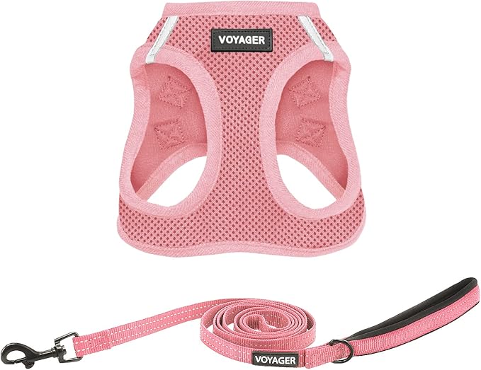 Voyager Step-in Air Cat Harness - All Weather Mesh Step in Vest Harness for Small and Medium Cats by Best Pet Supplies - Harness Leash Set (Pink), XXXS