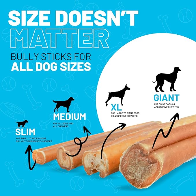 Sitka Farms Bully Sticks XL 6 inch - 10 Count - Premium Natural Single Ingredient for Aggressive Chewers - High Protein Long Lasting Treats