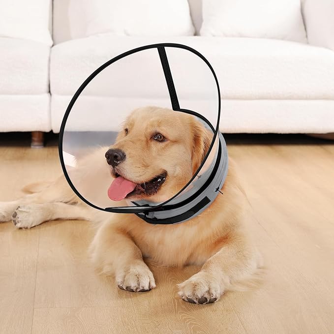 Sponge Core Dog Cone, Inflatable Dog Cone Collar Alternative, Dogs Donut Collar After Surgery, Soft Cone for Large Medium Small Dogs to Stop Licking, No Inflation Required, Clear View(Size 8, Gray)