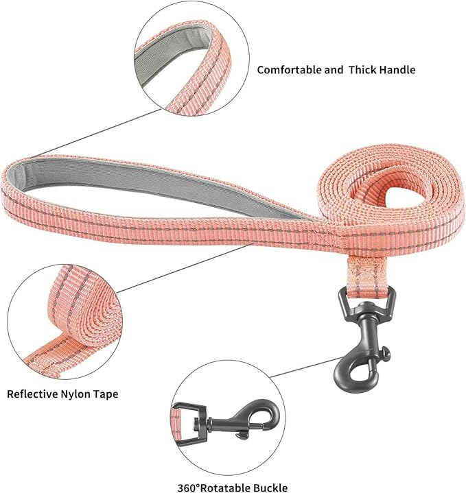 Dog Harness and Leash Set, No Pull Soft Mesh Pet Harness for Small Medium Dogs, Cats - Step in Adjustable Reflective Puppy Harness with Buckle and Double D-Rings - Pink, L