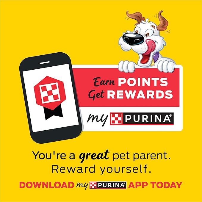 Purina Beggin' Strips With Real Meat Dog Treats With Bacon and Beef Flavors - (Pack of 2) 26 oz. Pouches