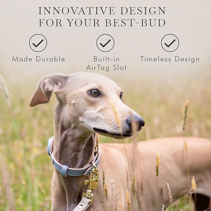 Cupertino Dog Collars, Harnesses & Leashes Made from Vegan Leather with Dog Tracker Device Holder Adjustable Dog Collar (Small, Blue)