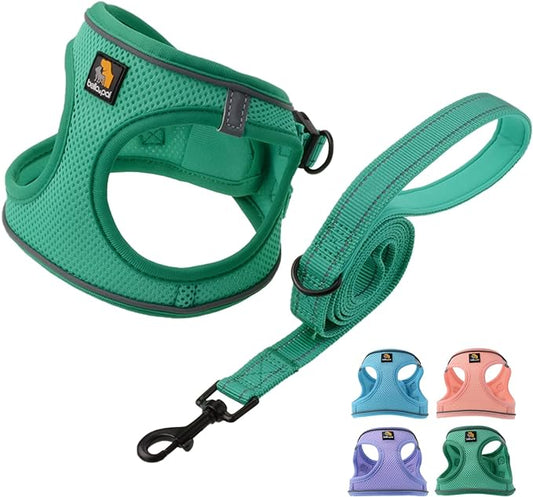 BELLA & PAL Puppy Harness and Leash Set, No Pull, Step in Harness for Extra Small Dogs, Green