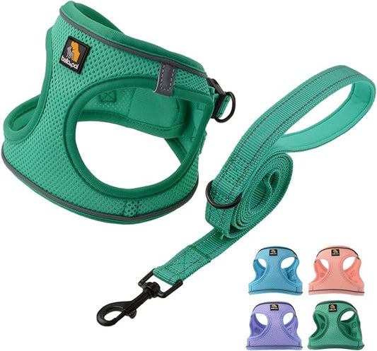 BELLA & PAL Puppy Harness & Leash Set, No Pull, Step-in Harness for Extra Small Dogs, Green XS