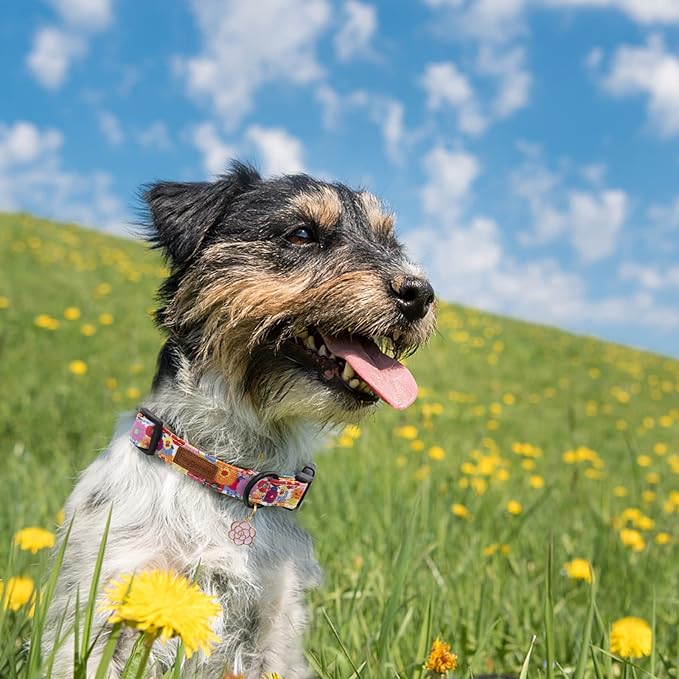 Faygarsle Floral Dog Collar for Girls and Female Dogs Soft and Fancy Pet Collar with Flower Design Ideal Pink Dog Collar for Small Medium Large Dogs S