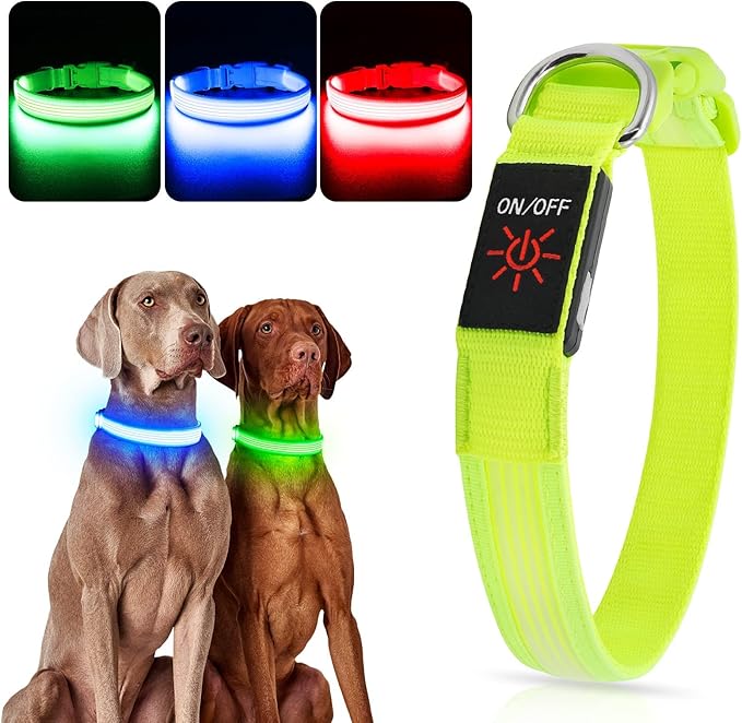 YFbrite Light up Dog Collar, USB Rechargeable LED Puppy Collar Super Bright Adjustable Glowing Dog Lights for Night Walking (Design 2-Green, Medium)