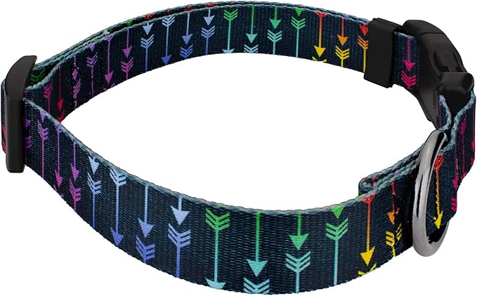 Country Brook Petz - Gunmetal Deluxe Colorful Arrows Dog Collar - Made in The U.S.A. - Chevron and Arrows Collection Featuring Linear Designs (1 Inch, Medium)