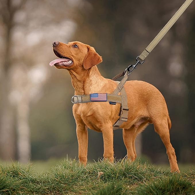 Annchwool No Pull Dog Harness with Padded Handle+5 Ft Leash,Reflective Strip Escape Proof and Quick Fit to Adjust Dog Harness,Easy for Training Walking for Small & Medium and Large Dogs(Brown-Set,M)