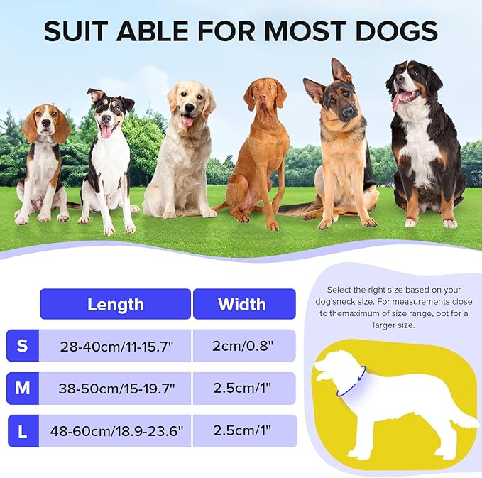 Led Dog Collar for Night Walking,Rechargeable Light Up Dog Collar Led Color,Glow in The Dark Dog Collars Waterproof for Small Medium Large Dogs(Blue, Medium)