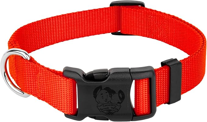 Country Brook Petz - American-Made Dog Collar for Large, Medium, and Small Dogs and Puppies - Deluxe Heavy Duty Nylon in 33 Dazzling Colors (3XS, 3/8 Inch Wide, Hot Orange)