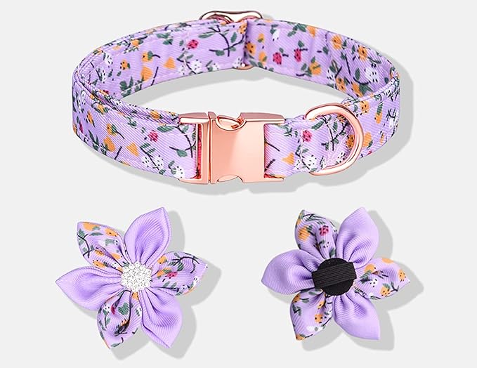 Floral Pattern Dog Collar - Cute Puppy Collar with Detachable Rhinestone Flower for Female Dogs - Small, Medium, Large (L, Green)