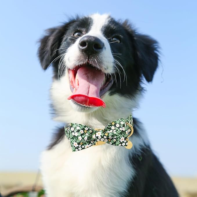 Summer Dog Collar with Bowtie, Lovely Flower Pattern Dog Bow Collar, Detachable Flowers Bowtie Bow Puppy Collars with Adjustable Metal Buckle for Dogs