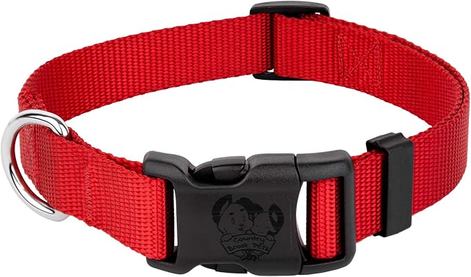 Country Brook Petz - American-Made Dog Collar for Large, Medium, and Small Dogs and Puppies - Deluxe Heavy Duty Nylon in 33 Dazzling Colors (Small, 3/4 Inch Wide, Bright Red)