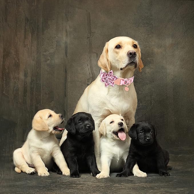 Mother’s Dog Collar with Flower, Cute Cotton Girl Dog Collar, Adorable Pink Flower Collar for Puppy Girl Dog or Cat, Female Dog Collar with Metal Buckle, XS