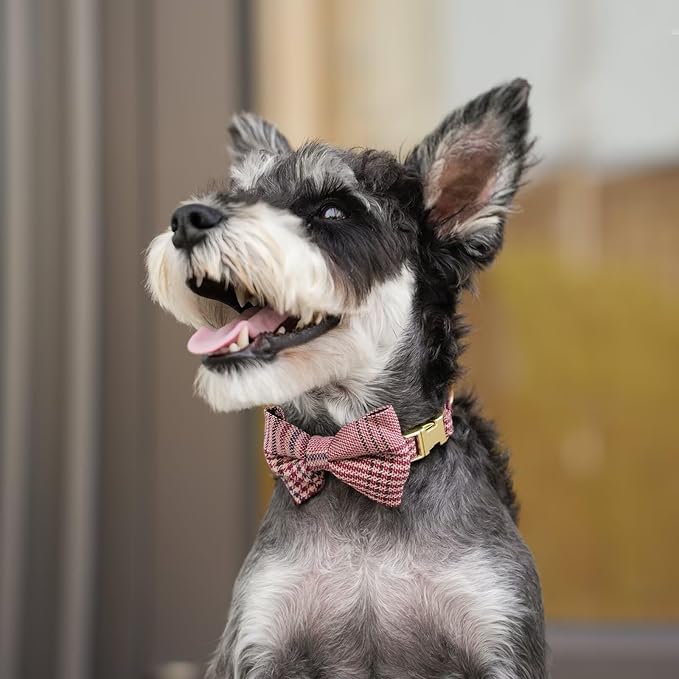 Beirui Cute Small Dog Harness Collar and Leash Set with Bowtie, Soft Adjustable Plaid Puppy Harness for Small Sized Dogs Cats Walks Parties and Photoshoots(Maroon,XS:Chest 13-18")