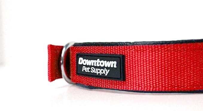 Downtown Pet Supply Deluxe Padded Adjustable Dog Collar - Metal Buckle & D-Ring - Machine Washable & Water Resistant - Red - L