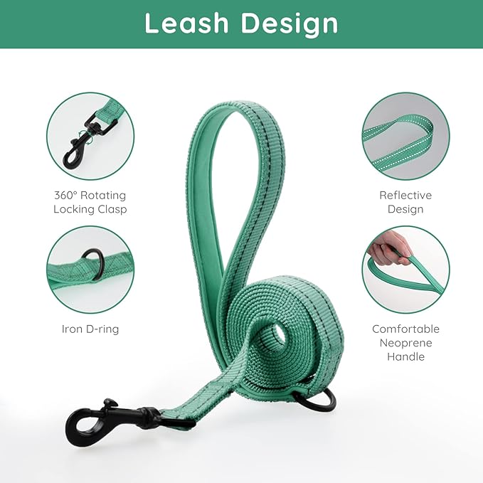 BELLA & PAL Puppy Harness and Leash Set, No Pull, Step in Harness for Extra Small Dogs, Green