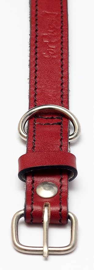 Premium Leather Collars with Stainless Steel Buckles (9"-12", Red)