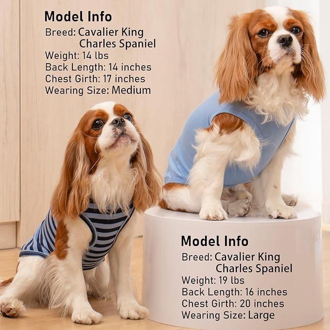 KYEESE 2Pack Dog Shirts Striped T Shirt for Large Dogs Lightweight Clothes Sleeveless Vest Cotton Tank Top, XXX-Large,Dark Blue+Striped