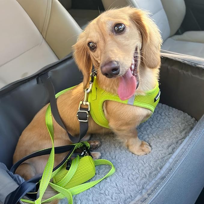 Voyager Step-in Air All Weather Mesh Harness and Reflective Dog 5 ft Leash Combo with Neoprene Handle, for Small, Medium and Large Breed Puppies by Best Pet Supplies - Set (Lime Green), L