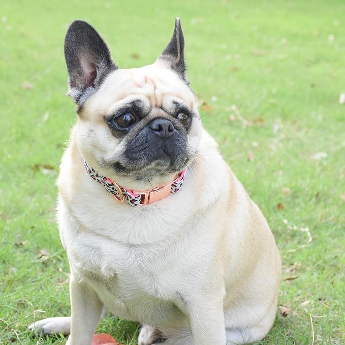 Metal Buckle Dog Collar, Durable Adjustable Dog Collar Soft for Small Medium Large Dogs (S(10-14in), Pink Leopard)
