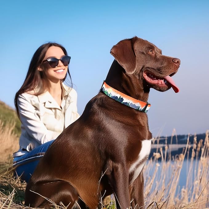 Timos Dog Collar, Adjustable Soft Dog Collar for Small Medium Large Dogs,Print Patterned Puppy Collars with Quick Release Buckle for Boy and Girl Female Dogs,M Length 13.39''-20.87''