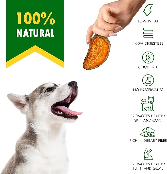 Dog Treats Sweet Potato Chips 11 oz - All Natural Pet Snack Chews - Grain Free & Human Grade Dried Snacks in Bulk - Best Jerky for Training Small & Large Dogs