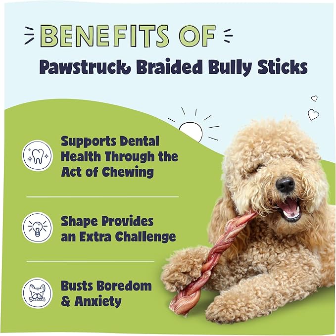 Pawstruck Natural 12” Braided Bully Sticks for Dogs - Tough, Long-Lasting, Rawhide-Free, Low Odor, Healthy Single Ingredient Chew Treat for Aggressive Chewers - 10 Count - Packaging May Vary