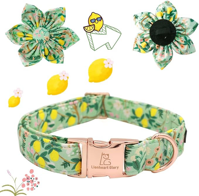 Lionheart Glory Cute Lemon Floral Pattern Adjustable Dog Collar for Medium Dogs